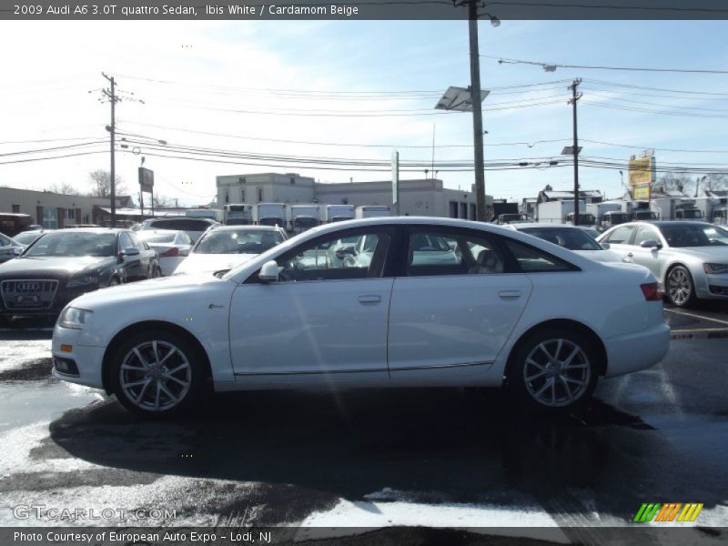 Ibis White / Cardamom Beige 2009 Audi A6 3.0T quattro Sedan
