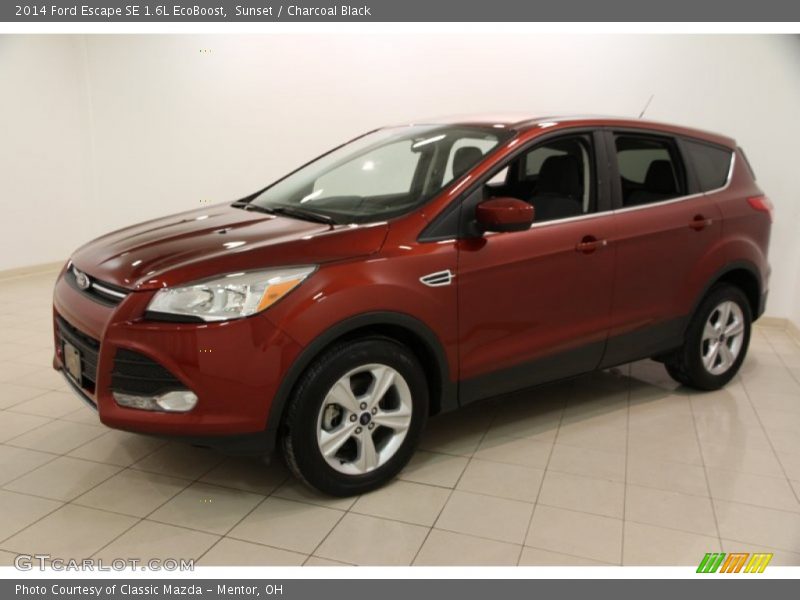 Sunset / Charcoal Black 2014 Ford Escape SE 1.6L EcoBoost