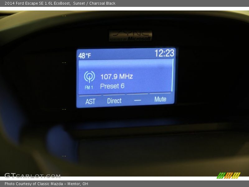 Sunset / Charcoal Black 2014 Ford Escape SE 1.6L EcoBoost