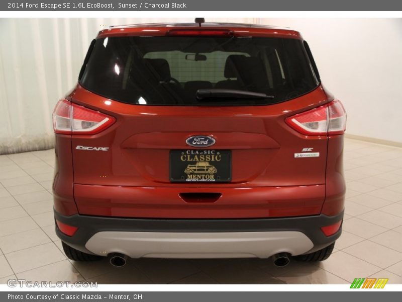 Sunset / Charcoal Black 2014 Ford Escape SE 1.6L EcoBoost