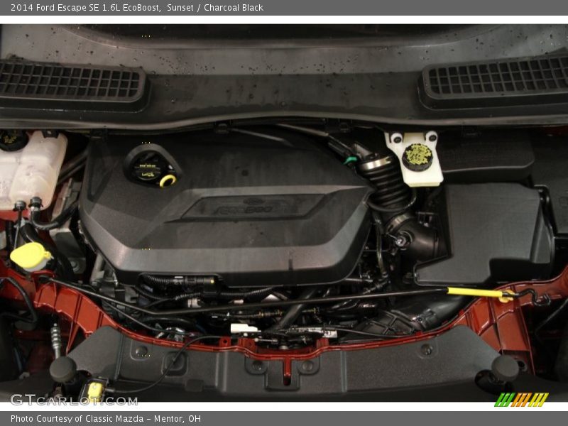 Sunset / Charcoal Black 2014 Ford Escape SE 1.6L EcoBoost