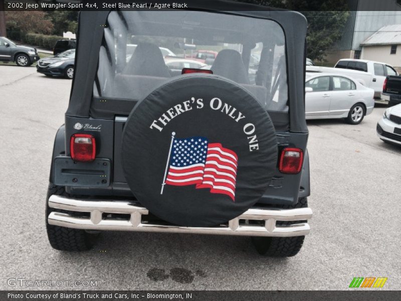 Steel Blue Pearl / Agate Black 2002 Jeep Wrangler Sport 4x4