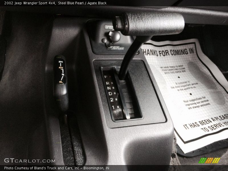 Steel Blue Pearl / Agate Black 2002 Jeep Wrangler Sport 4x4