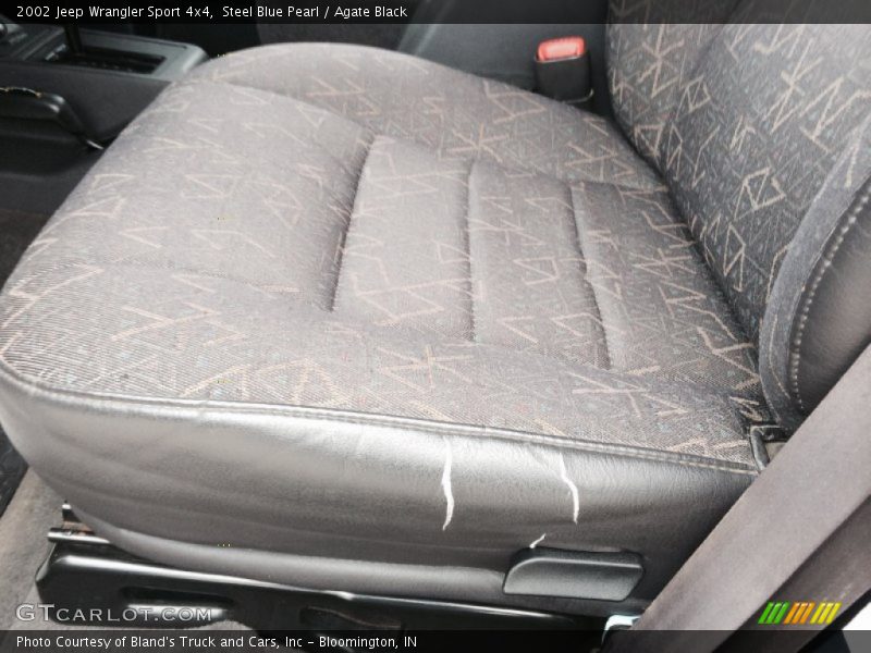 Steel Blue Pearl / Agate Black 2002 Jeep Wrangler Sport 4x4