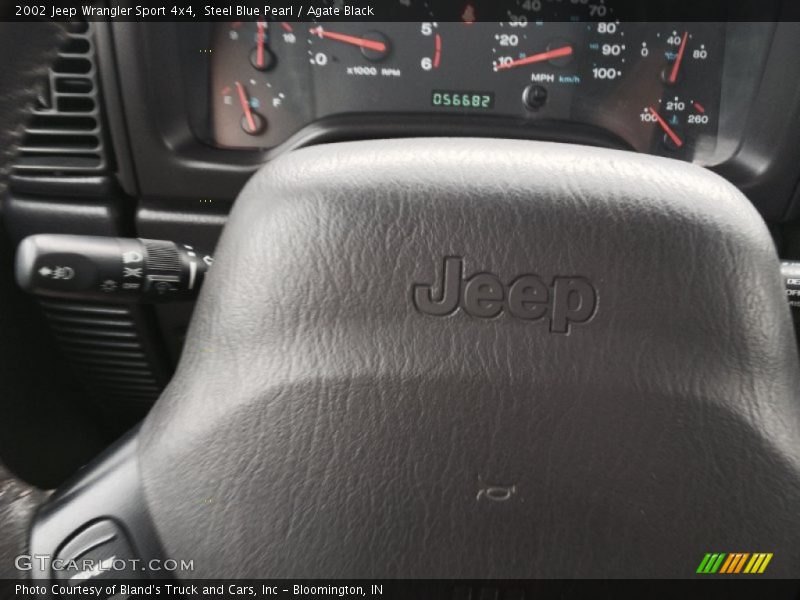 Steel Blue Pearl / Agate Black 2002 Jeep Wrangler Sport 4x4