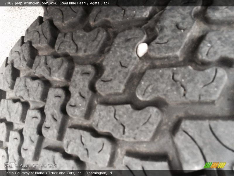 Steel Blue Pearl / Agate Black 2002 Jeep Wrangler Sport 4x4