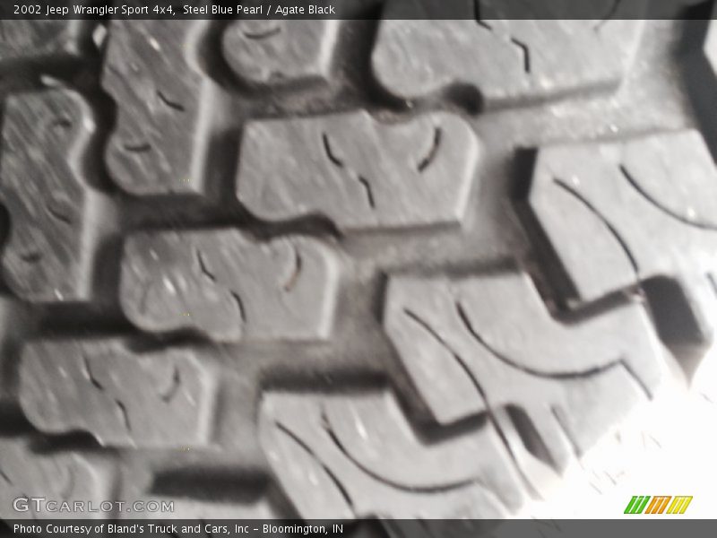 Steel Blue Pearl / Agate Black 2002 Jeep Wrangler Sport 4x4