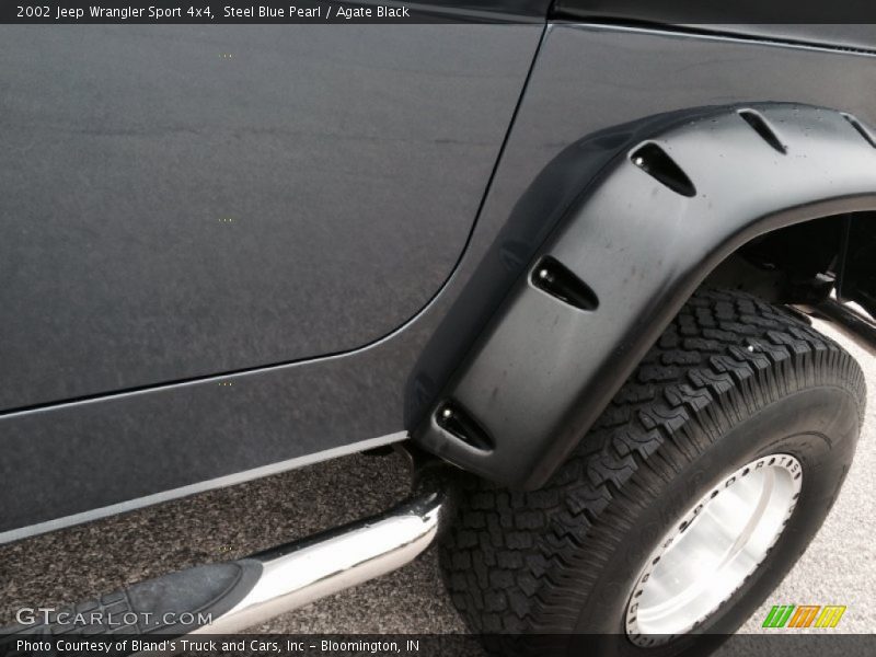 Steel Blue Pearl / Agate Black 2002 Jeep Wrangler Sport 4x4
