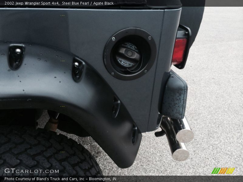 Steel Blue Pearl / Agate Black 2002 Jeep Wrangler Sport 4x4