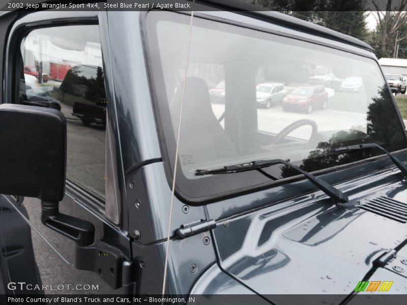 Steel Blue Pearl / Agate Black 2002 Jeep Wrangler Sport 4x4