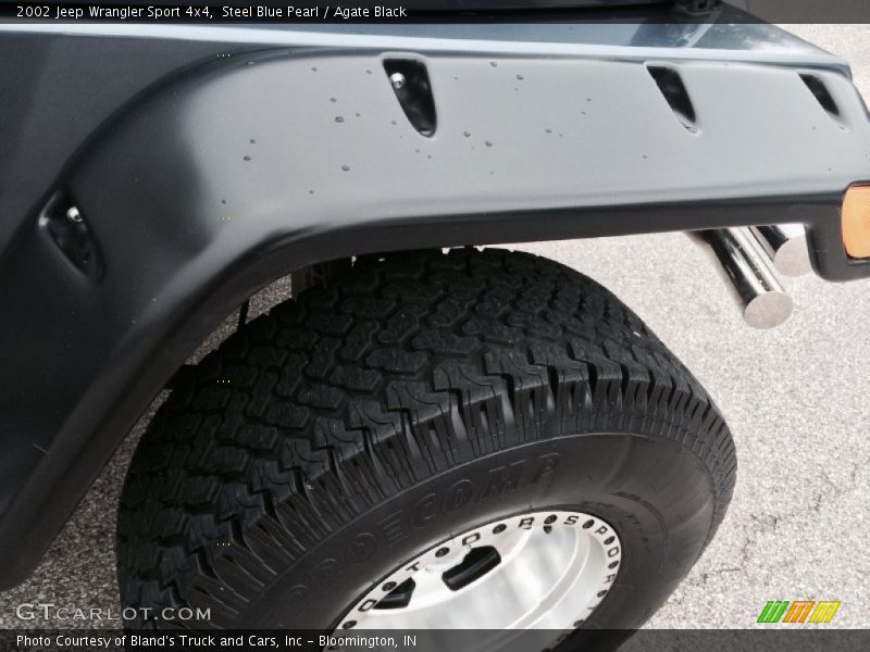 Steel Blue Pearl / Agate Black 2002 Jeep Wrangler Sport 4x4