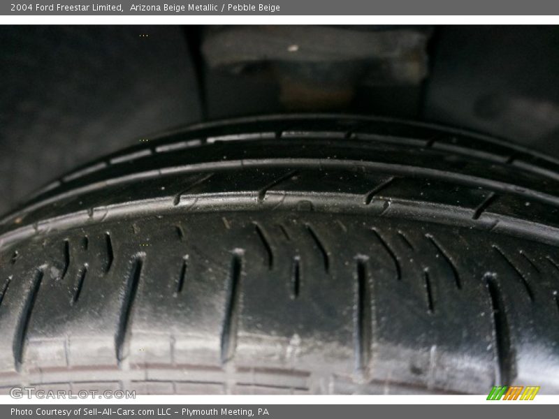 Arizona Beige Metallic / Pebble Beige 2004 Ford Freestar Limited