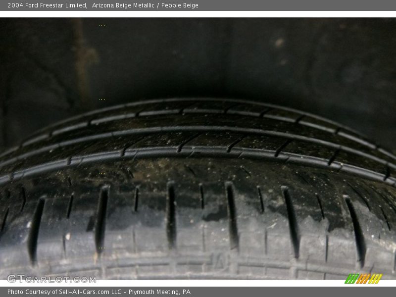 Arizona Beige Metallic / Pebble Beige 2004 Ford Freestar Limited