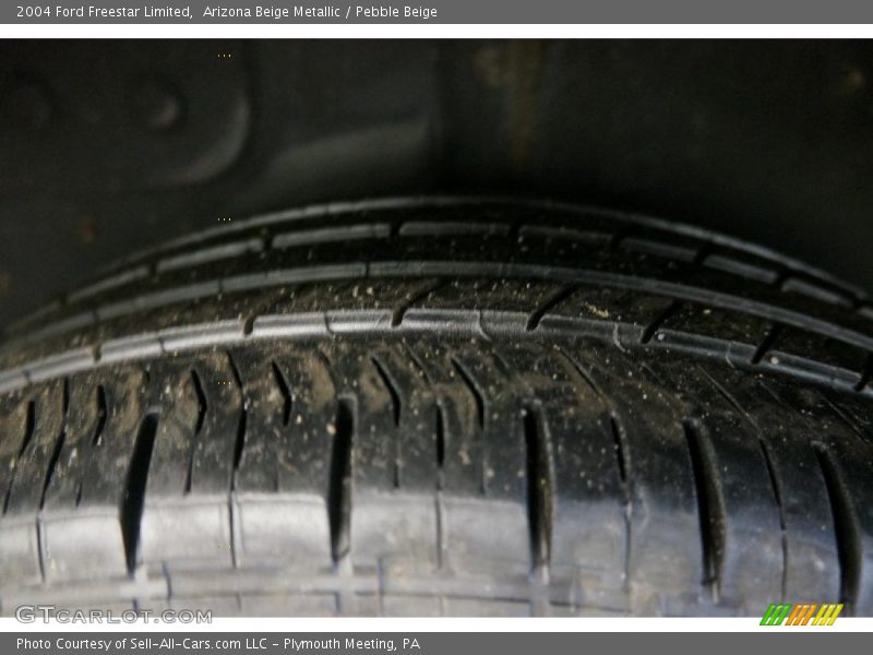 Arizona Beige Metallic / Pebble Beige 2004 Ford Freestar Limited