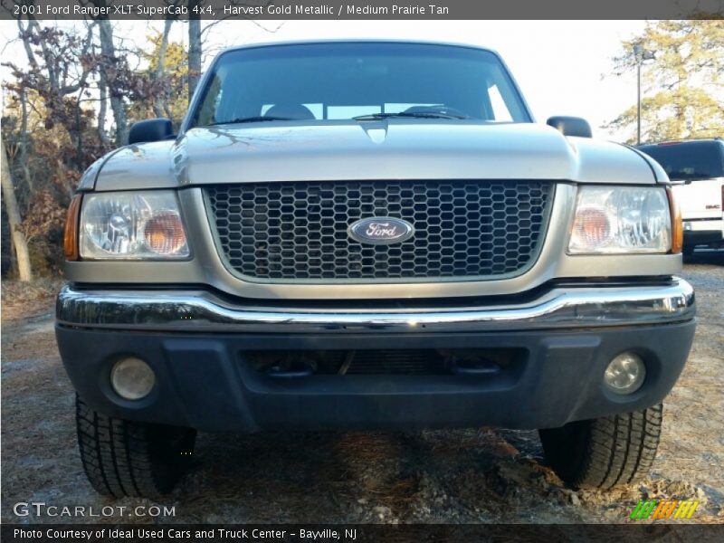 Harvest Gold Metallic / Medium Prairie Tan 2001 Ford Ranger XLT SuperCab 4x4
