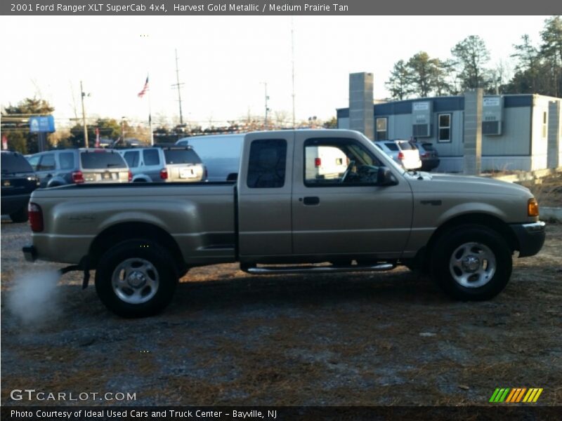 Harvest Gold Metallic / Medium Prairie Tan 2001 Ford Ranger XLT SuperCab 4x4