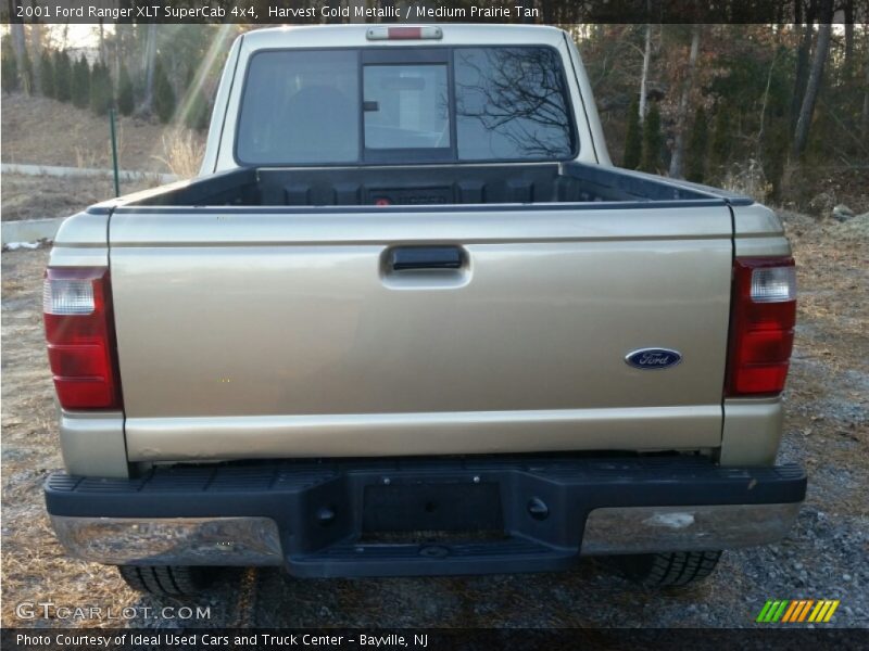 Harvest Gold Metallic / Medium Prairie Tan 2001 Ford Ranger XLT SuperCab 4x4