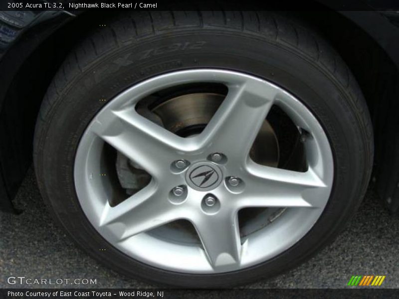 Nighthawk Black Pearl / Camel 2005 Acura TL 3.2