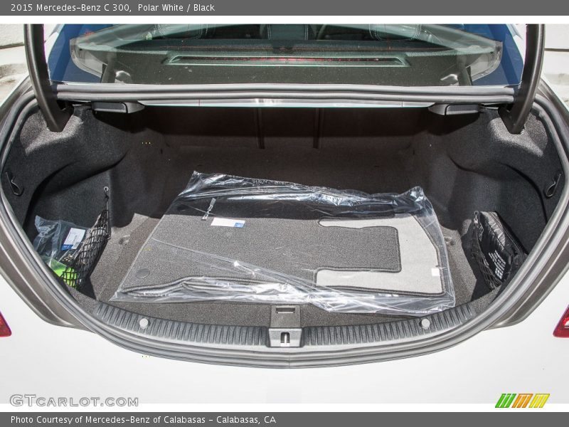 Polar White / Black 2015 Mercedes-Benz C 300