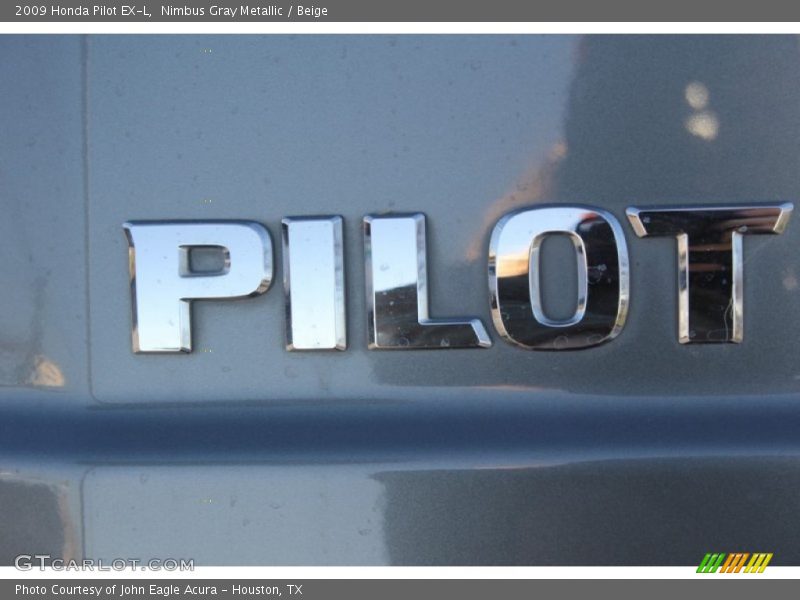 Nimbus Gray Metallic / Beige 2009 Honda Pilot EX-L