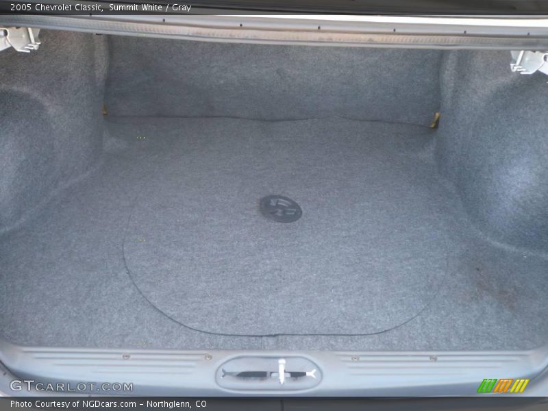 Summit White / Gray 2005 Chevrolet Classic
