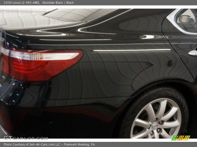 Obsidian Black / Black 2009 Lexus LS 460 AWD