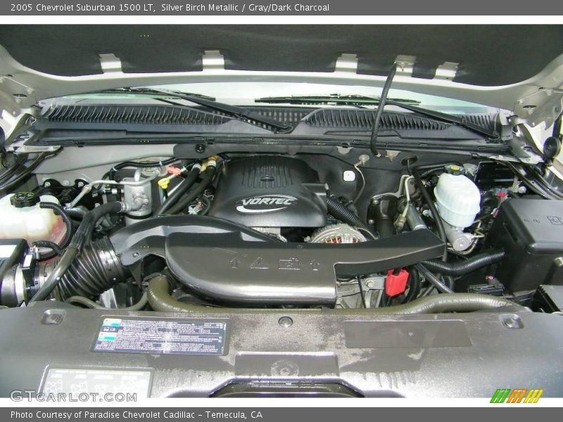 Silver Birch Metallic / Gray/Dark Charcoal 2005 Chevrolet Suburban 1500 LT