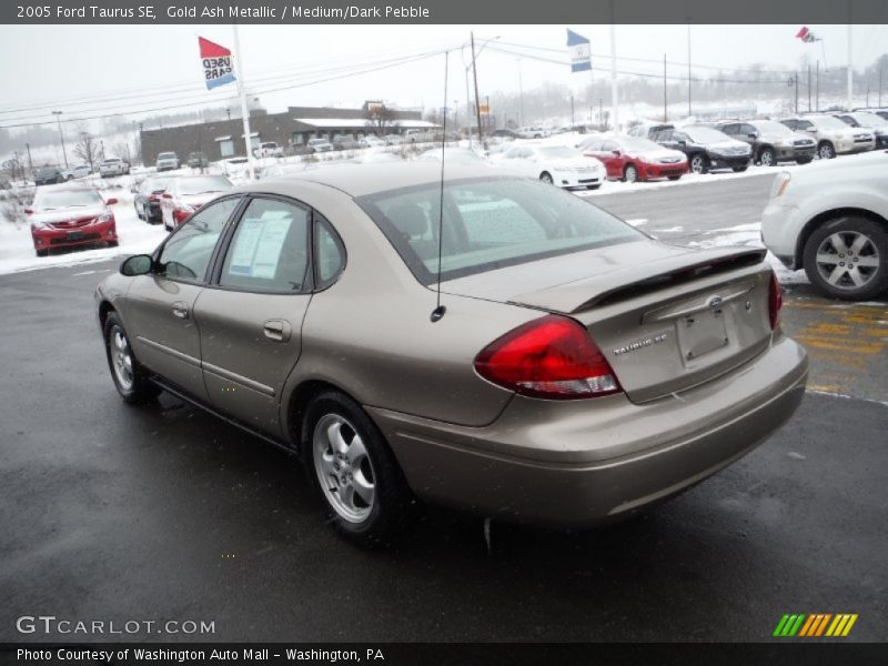 Gold Ash Metallic / Medium/Dark Pebble 2005 Ford Taurus SE