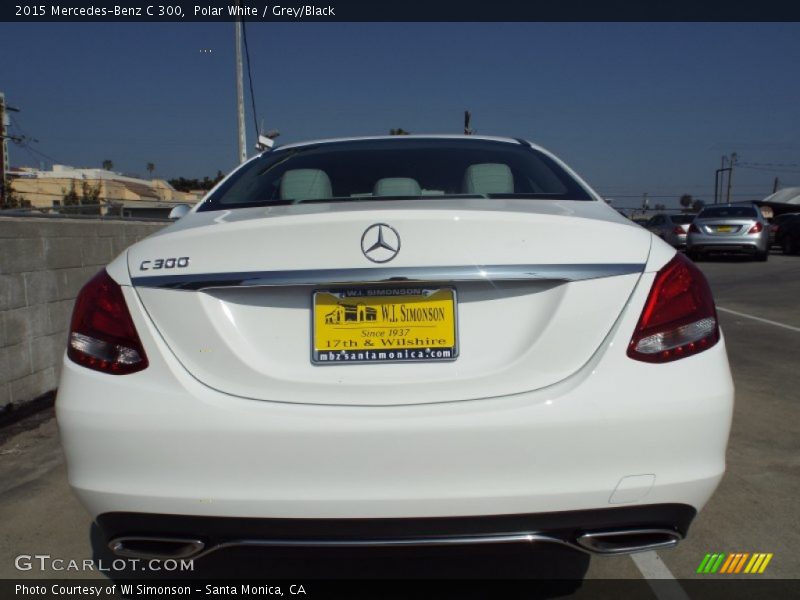 Polar White / Grey/Black 2015 Mercedes-Benz C 300