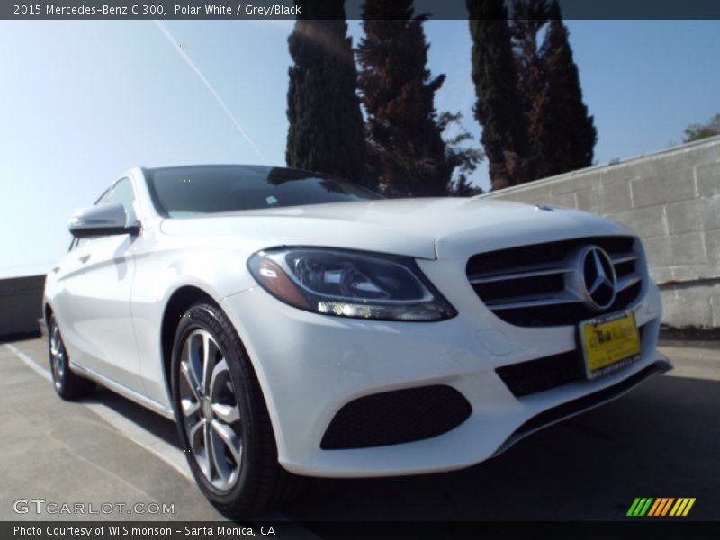 Polar White / Grey/Black 2015 Mercedes-Benz C 300