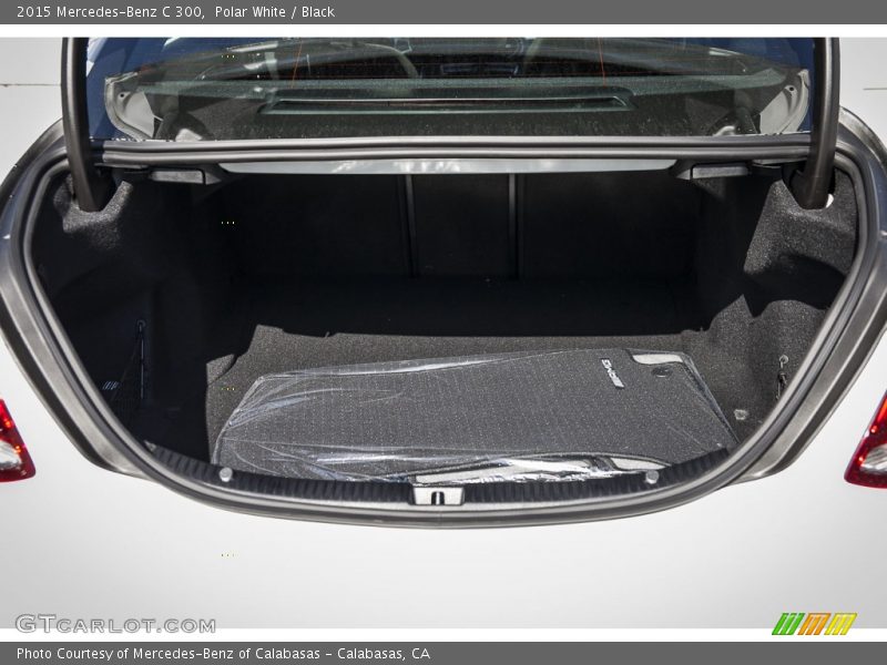 Polar White / Black 2015 Mercedes-Benz C 300