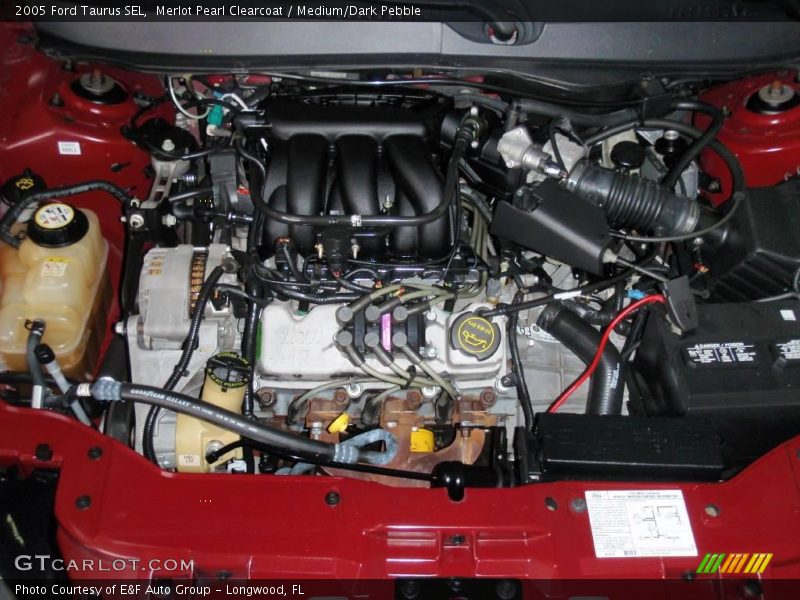 Merlot Pearl Clearcoat / Medium/Dark Pebble 2005 Ford Taurus SEL