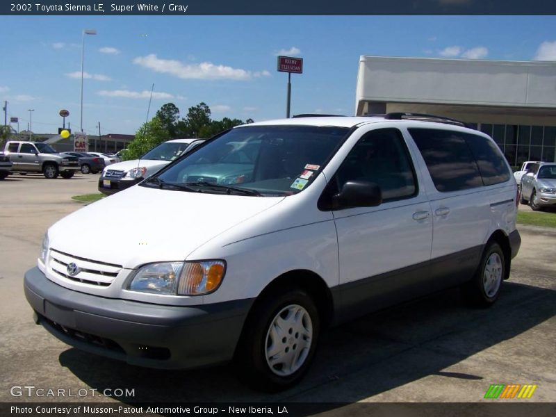 Super White / Gray 2002 Toyota Sienna LE