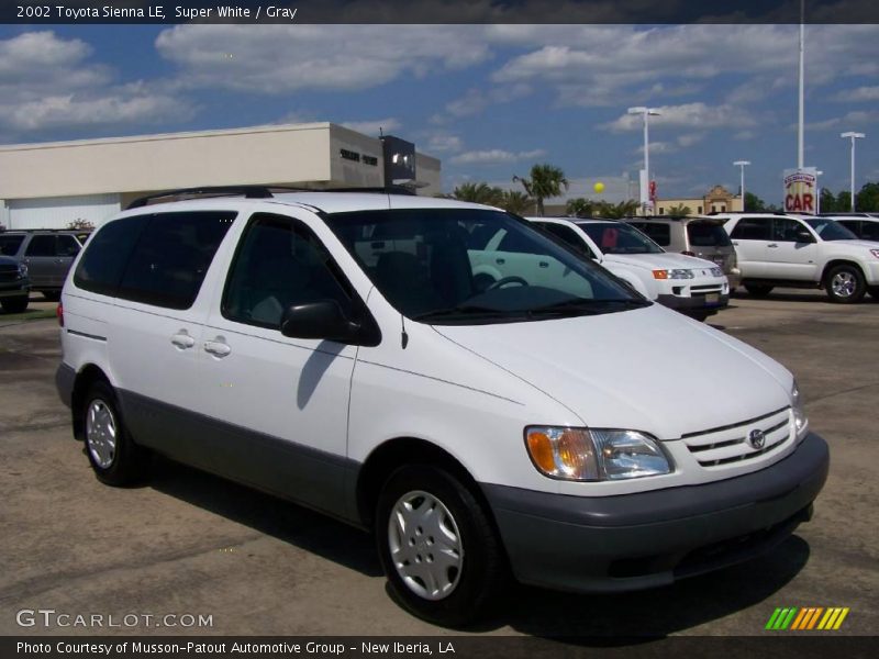 Super White / Gray 2002 Toyota Sienna LE