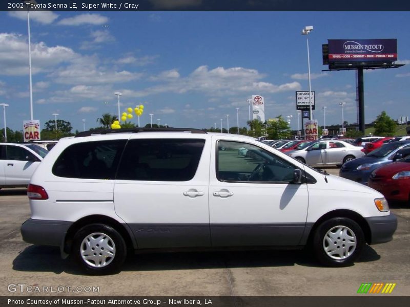 Super White / Gray 2002 Toyota Sienna LE