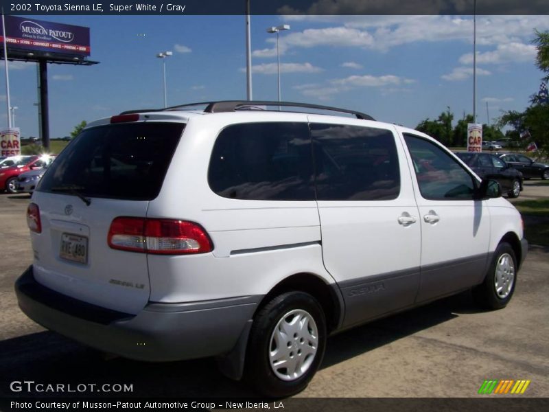 Super White / Gray 2002 Toyota Sienna LE