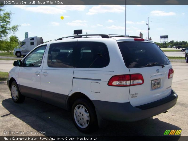 Super White / Gray 2002 Toyota Sienna LE