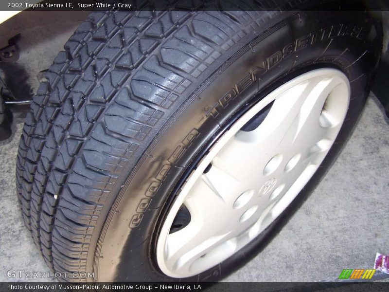 Super White / Gray 2002 Toyota Sienna LE