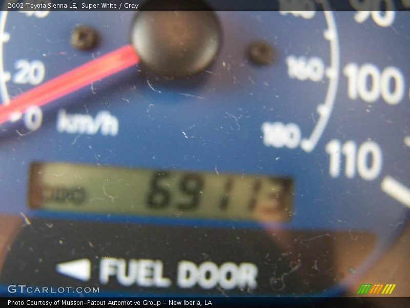 Super White / Gray 2002 Toyota Sienna LE