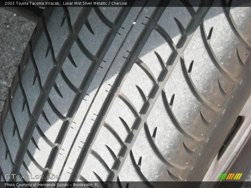 Lunar Mist Silver Metallic / Charcoal 2003 Toyota Tacoma Xtracab