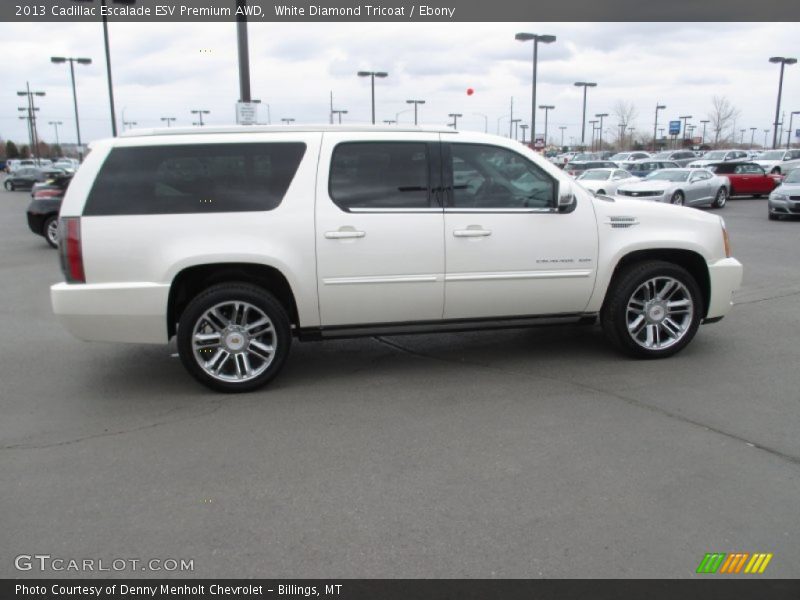 White Diamond Tricoat / Ebony 2013 Cadillac Escalade ESV Premium AWD