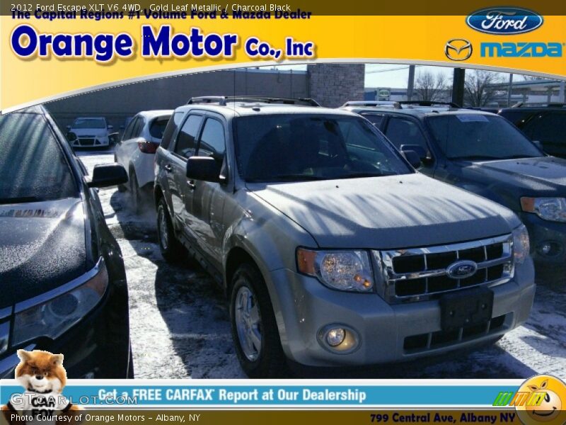Gold Leaf Metallic / Charcoal Black 2012 Ford Escape XLT V6 4WD