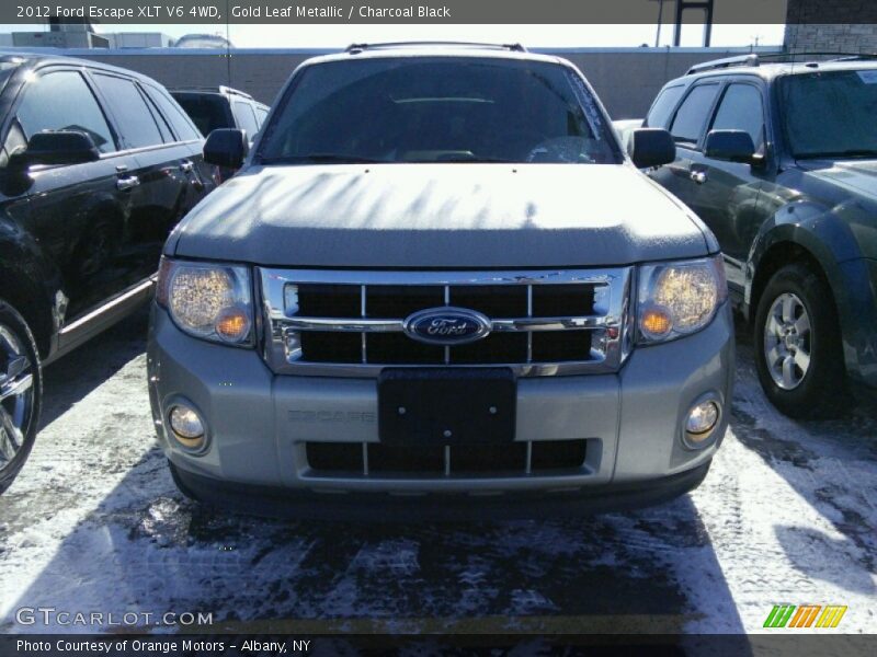 Gold Leaf Metallic / Charcoal Black 2012 Ford Escape XLT V6 4WD