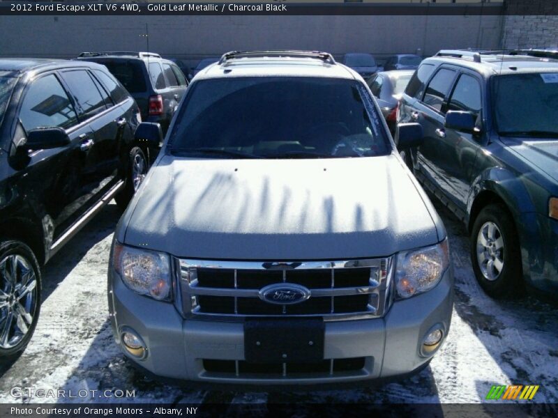Gold Leaf Metallic / Charcoal Black 2012 Ford Escape XLT V6 4WD