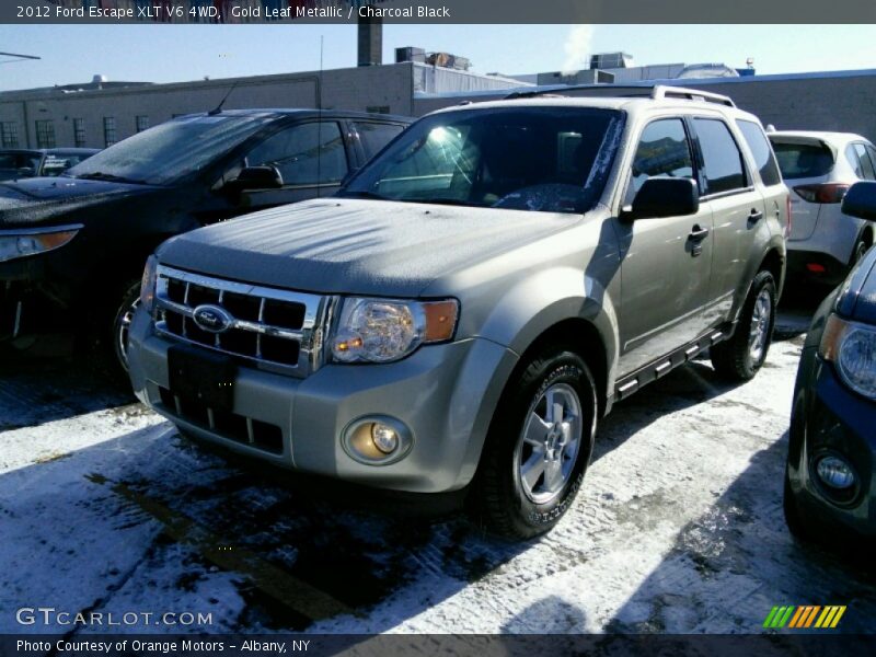 Gold Leaf Metallic / Charcoal Black 2012 Ford Escape XLT V6 4WD