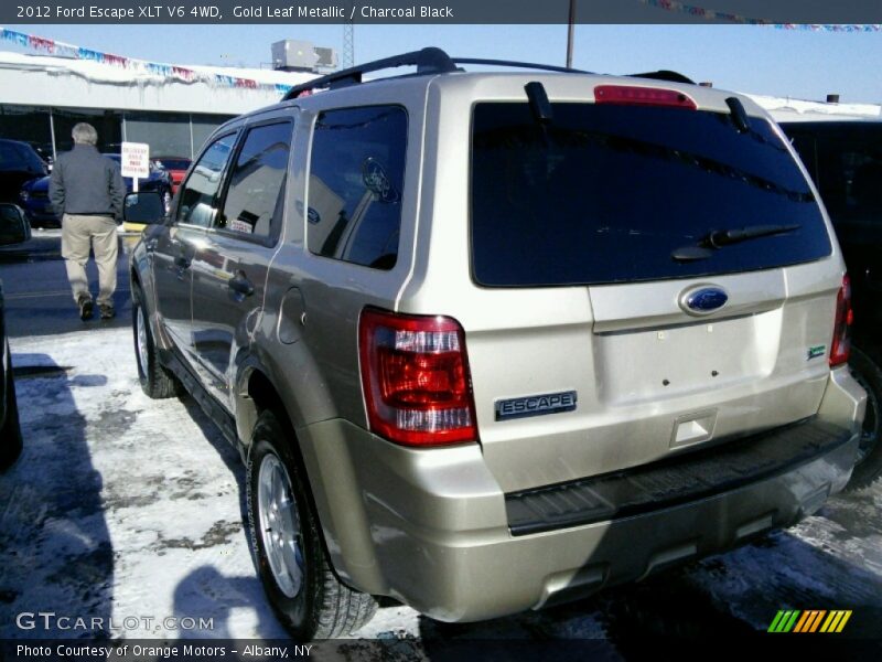 Gold Leaf Metallic / Charcoal Black 2012 Ford Escape XLT V6 4WD