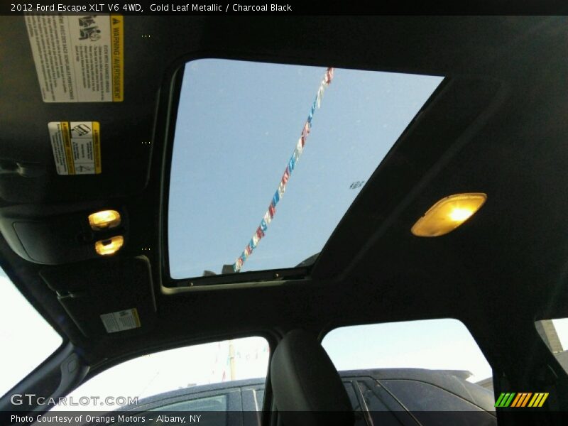 Gold Leaf Metallic / Charcoal Black 2012 Ford Escape XLT V6 4WD