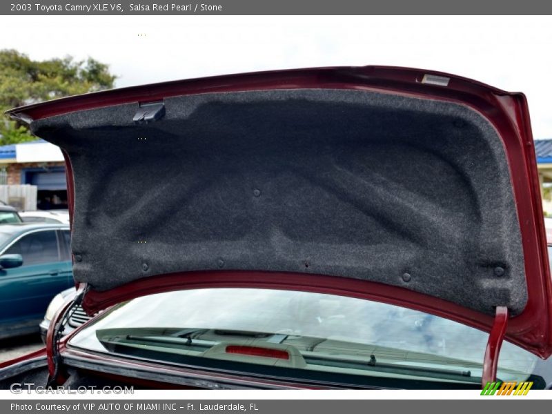 Salsa Red Pearl / Stone 2003 Toyota Camry XLE V6