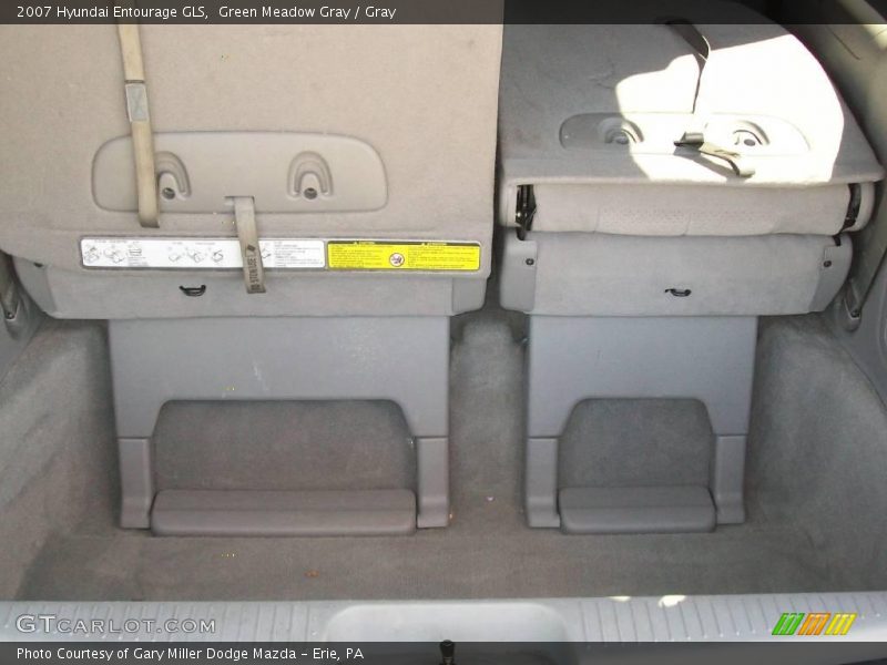 Green Meadow Gray / Gray 2007 Hyundai Entourage GLS