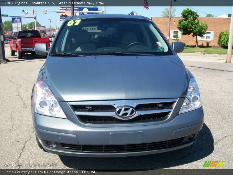 Green Meadow Gray / Gray 2007 Hyundai Entourage GLS